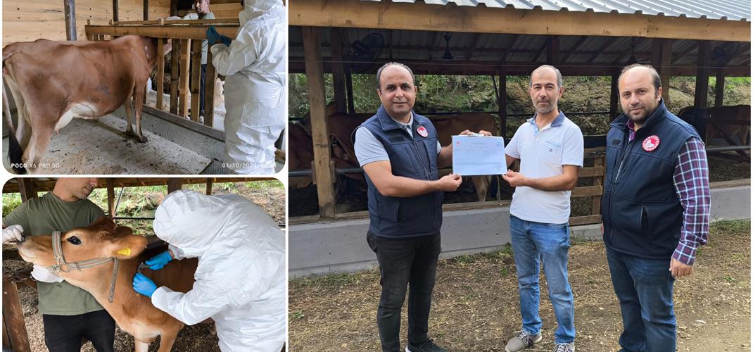 Giresun'un İlk Hastalıktan Ari İşletmesi Faaliyetine Başladı