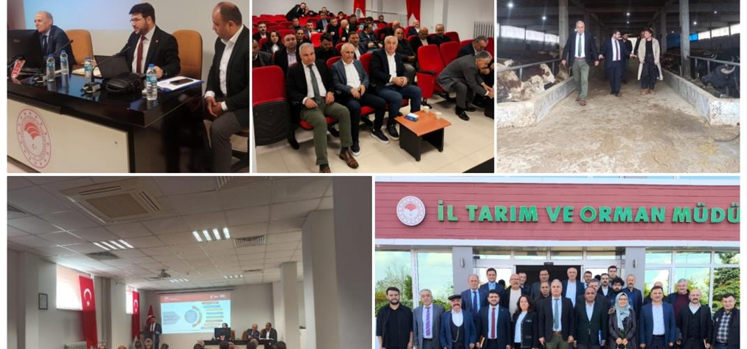  Giresun'da Hayvancılıkta Yeni Destekleme Modeli Anlatıldı