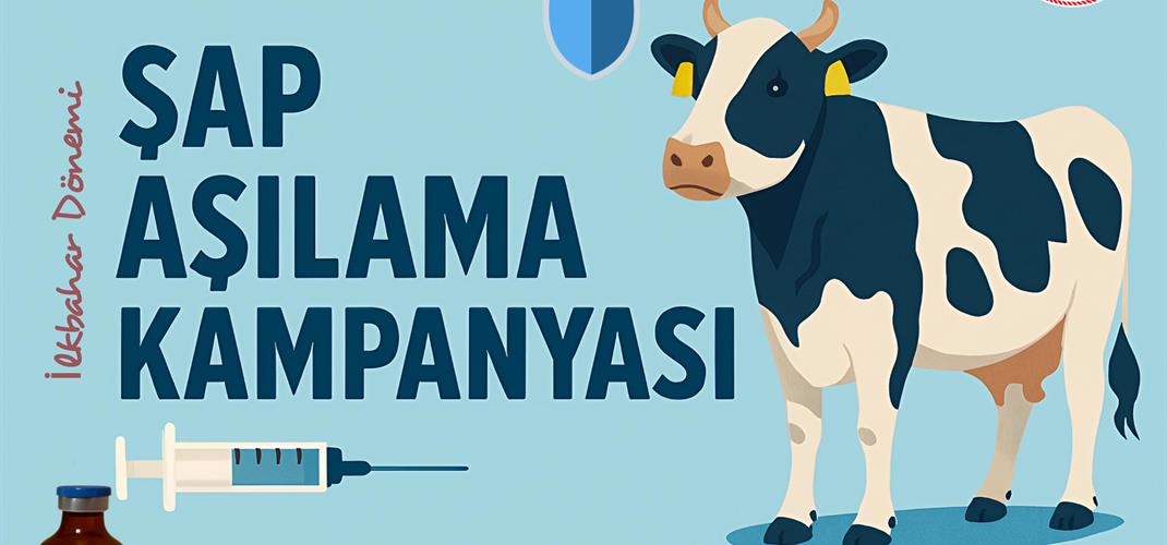 İLKBAHAR DÖNEMİ ŞAP AŞILAMA KAMPANYASI BAŞLADI