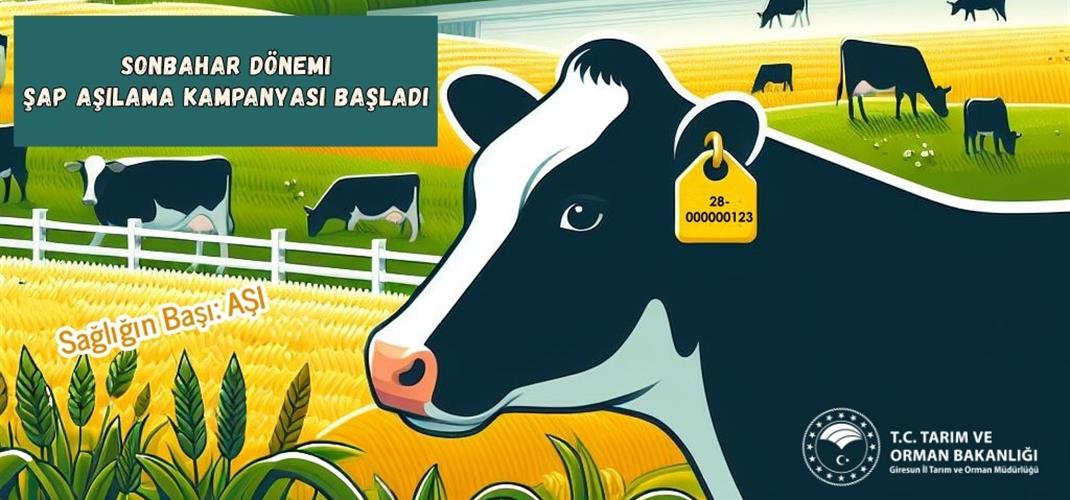 Sonbahar Dönemi Şap Aşılama Kampanyası Başladı