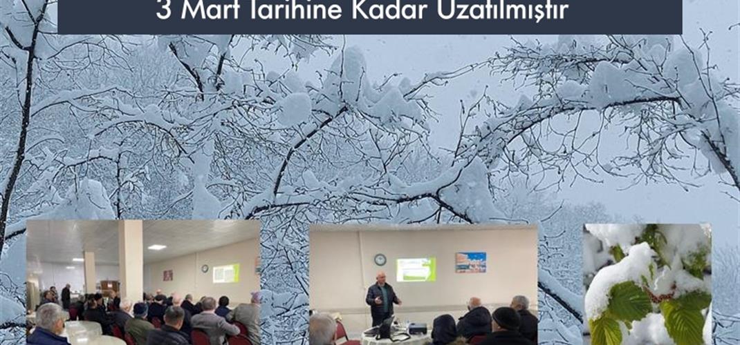  Fındıkta Tarım Sigortası Poliçe Son Kabulü 3 Mart Tarihine Kadar Uzatılmıştır