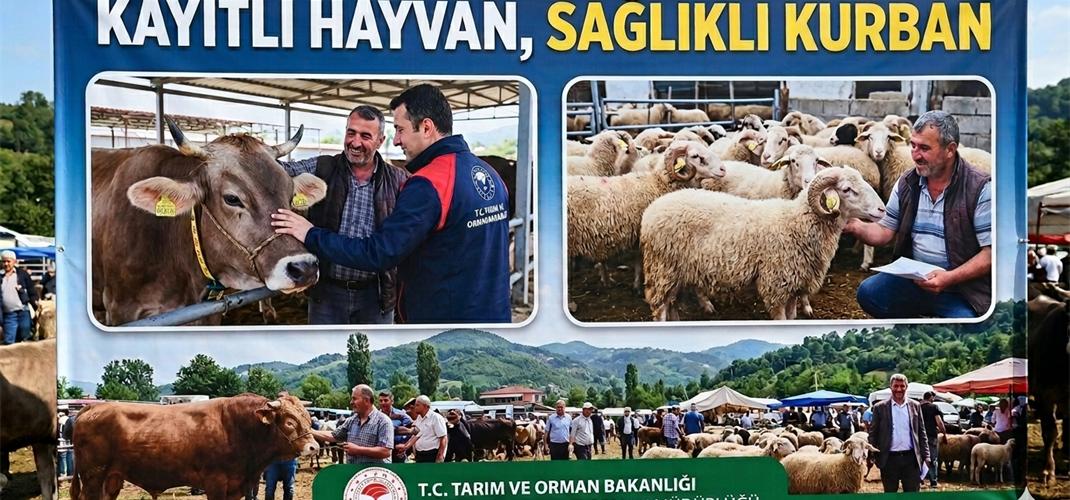 Kayıtlı Hayvan Sağlıklı Kurban