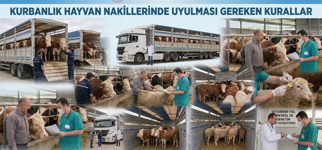 Kurbanlık Hayvan Nakillerinde Uyulması Gereken Kurallar