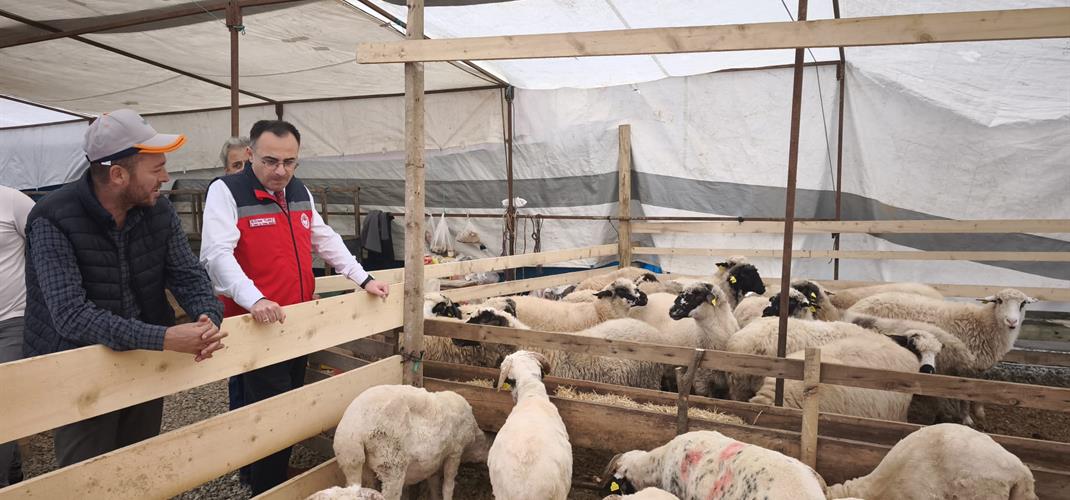 Kurban Satış Yerleri Denetleniyor