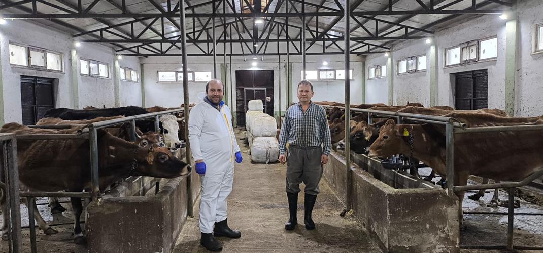 Giresun’da Hastalıktan Ari İşletmeler Çoğalıyor.